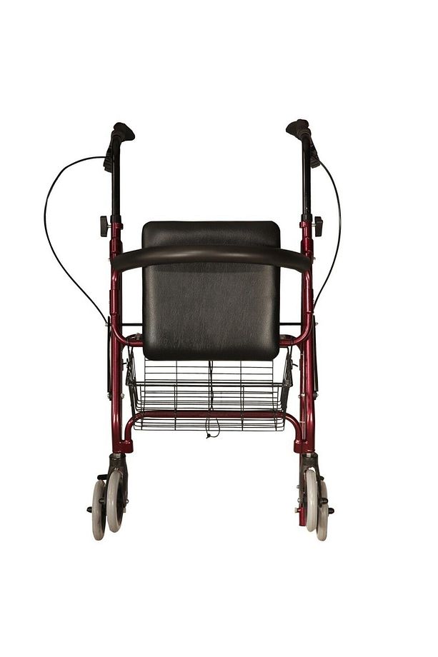 Poylin P580 Ekonomik Rolatör Tekerlekli Rollator Yürüteç Hasta Yaşlı Yürüteci - 2