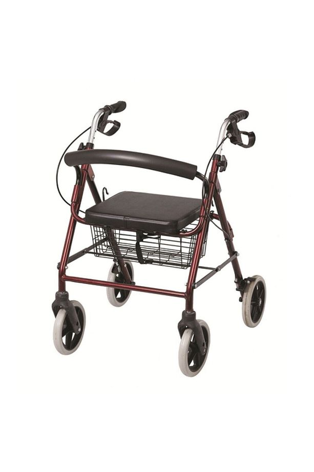 Poylin P580 Ekonomik Rolatör Tekerlekli Rollator Yürüteç Hasta Yaşlı Yürüteci - 1