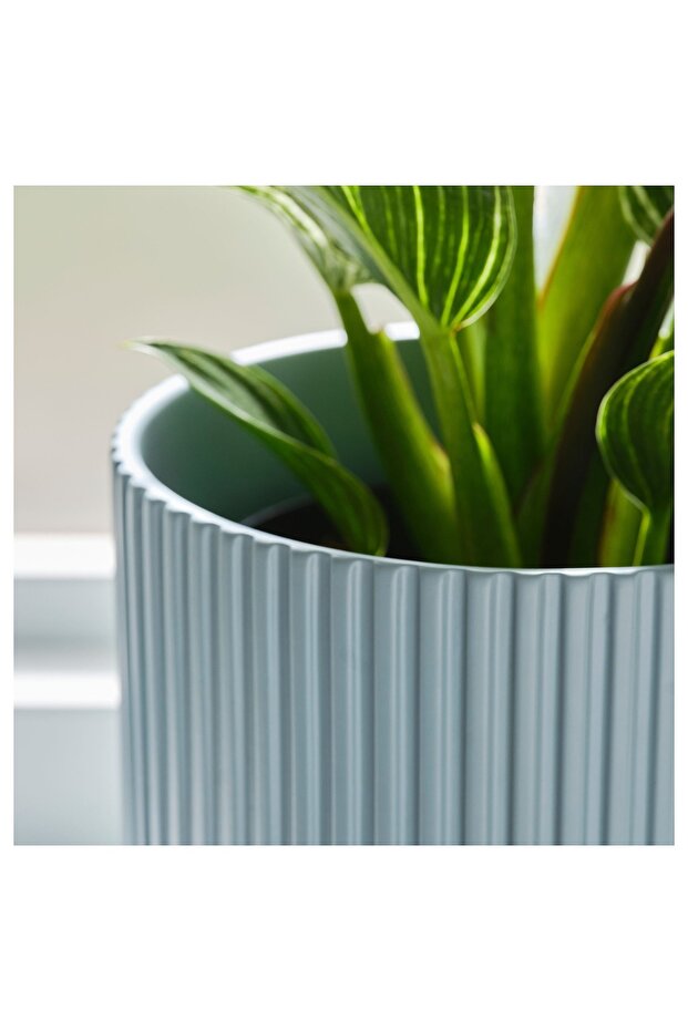 DAKSJUS toprak saksı - 1