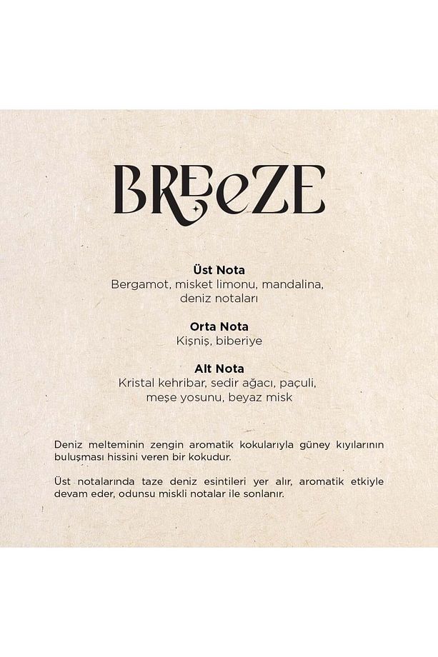 Breeze A1 Koku Kartuşu 220 Ml - 3