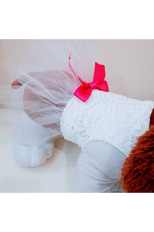 فساتين ملابس القطط والكلاب - 2