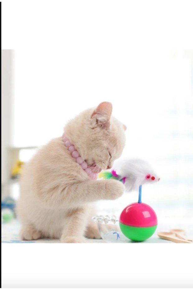 Cat Toy Hacıyatmaz Furry Cat Play Ball