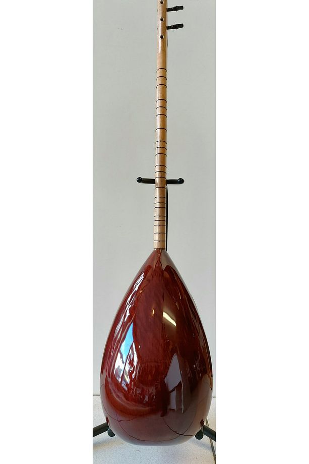 Profesyonel Uzun Sap Ardıç Bağlama - 3