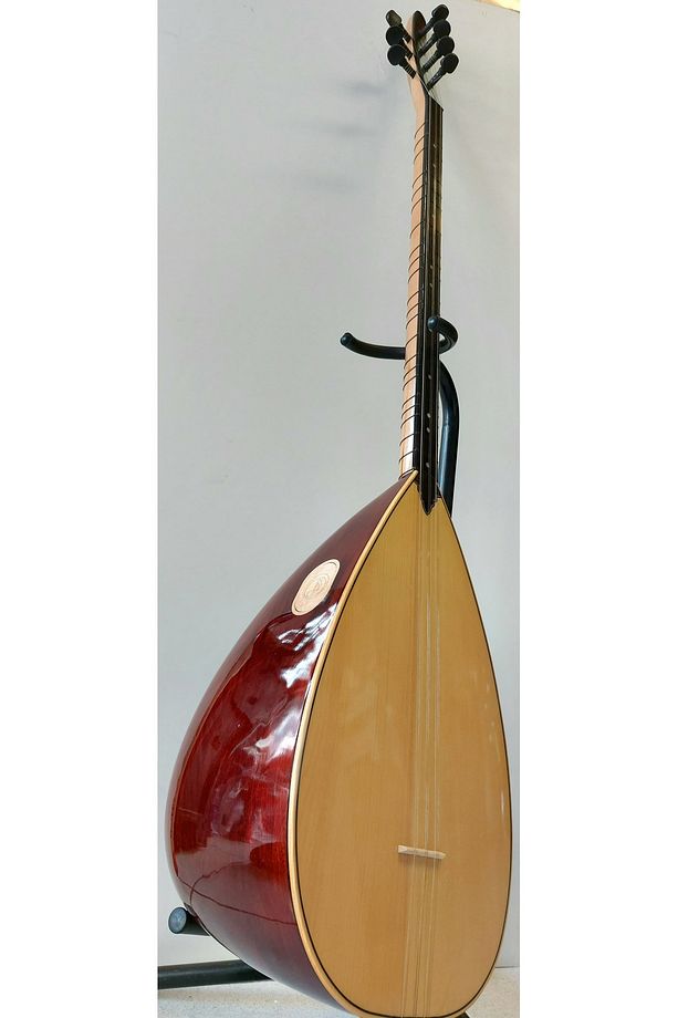 Profesyonel Uzun Sap Ardıç Bağlama - 1