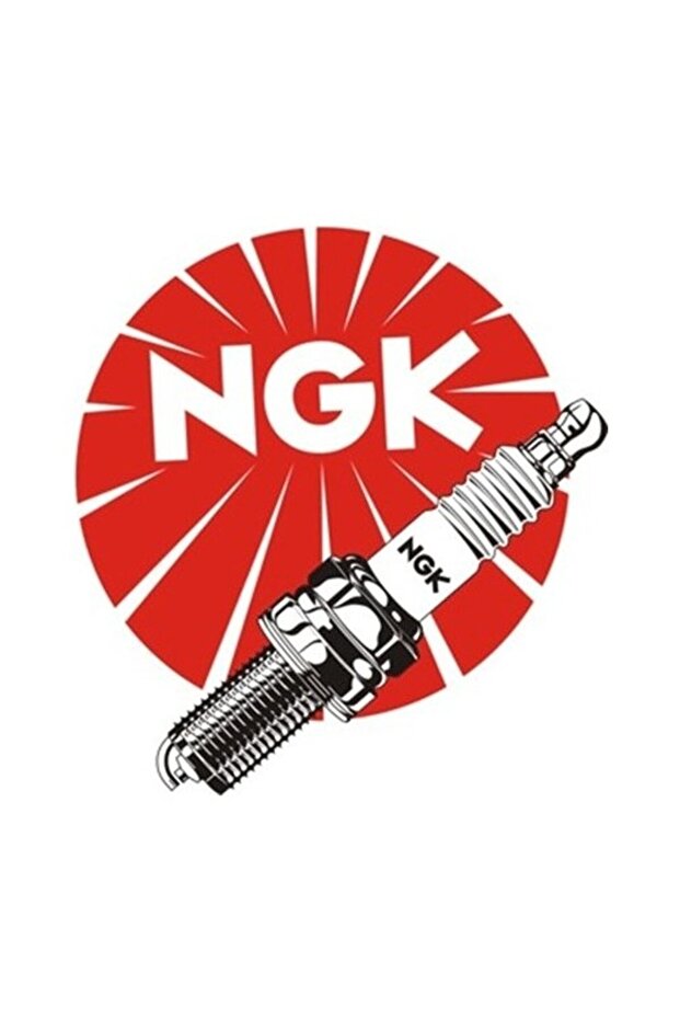 Ateşleme Bujisi DPR8EA-9 - 2