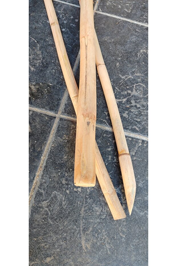 Bambu kamış, çubuk - 2