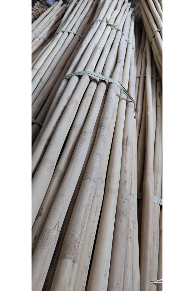 Bambu kamış, çubuk - 4