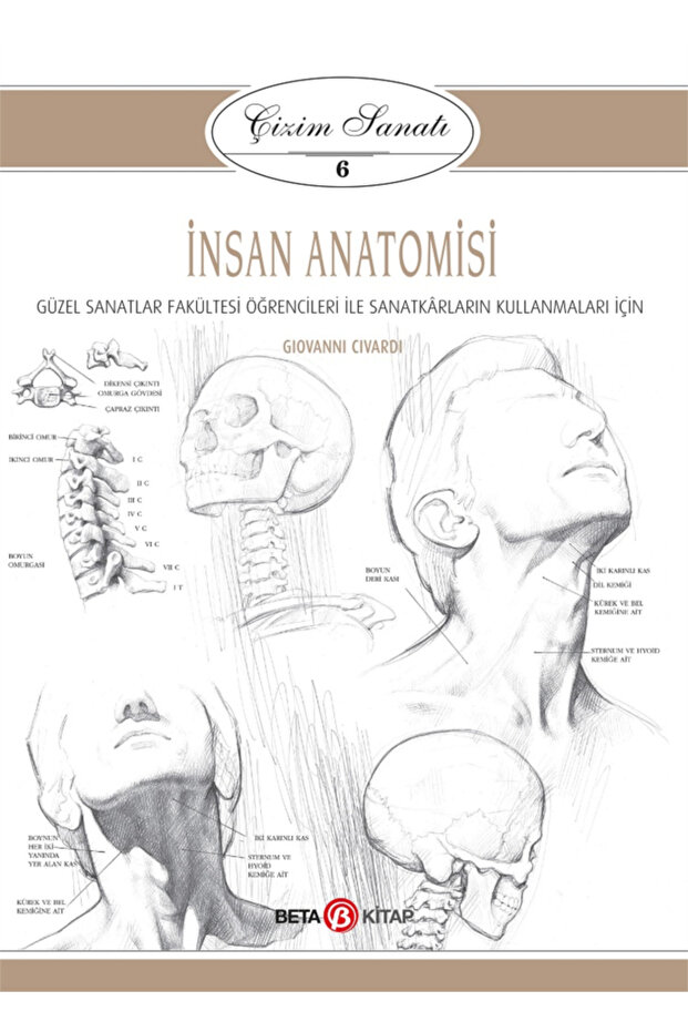 İnsan Anatomisi - 1