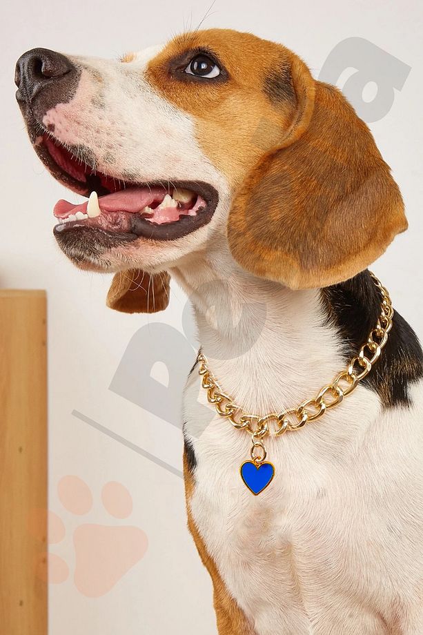 Köpek Boyun Tasması Zincir Köpek Kolyesi Kalp Detaylı Köpek Tasması - 2