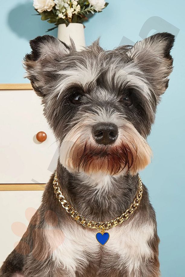 Köpek Boyun Tasması Zincir Köpek Kolyesi Kalp Detaylı Köpek Tasması - 1