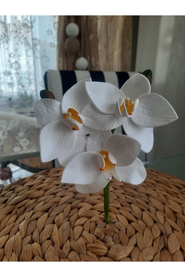 Islak Orkide Dal Eva - 8