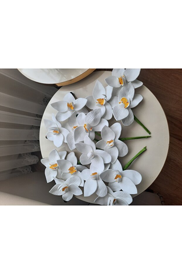 Islak Orkide Dal Eva - 6