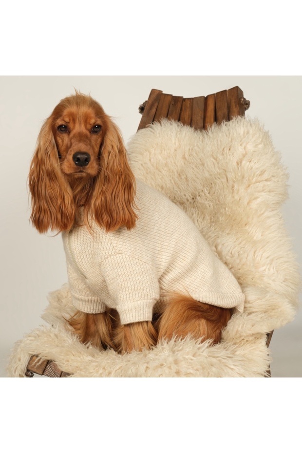 Basic Ekru Triko Köpek Kazak - 1