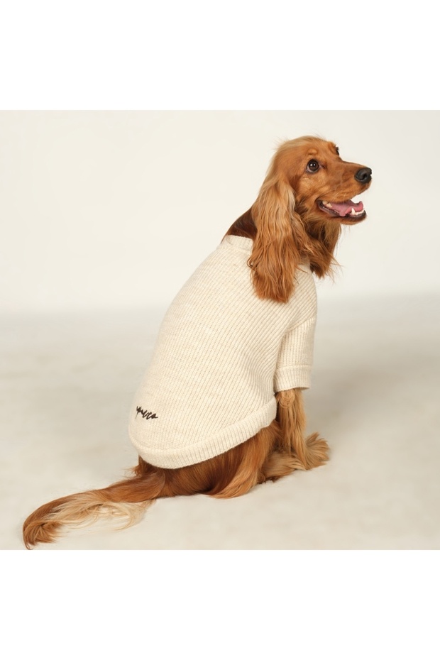 Basic Ekru Triko Köpek Kazak - 2