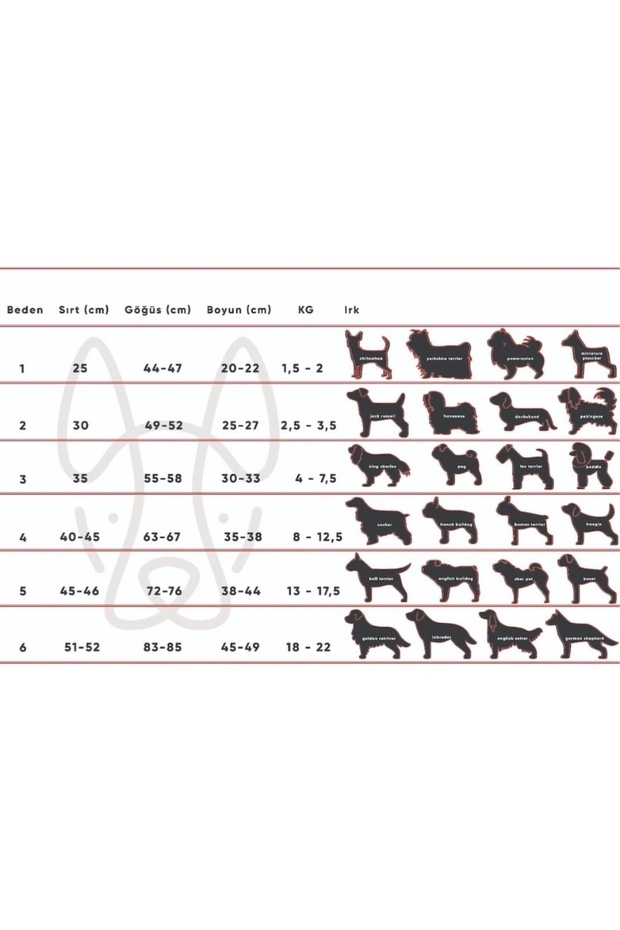 Basic Ekru Triko Köpek Kazak - 4