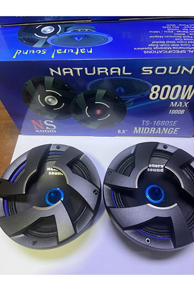 NS AUDİO 16cm Midrange Hoparlör Kapaklı 800w mAx Kurşun Göbek 80rms 100db - 6