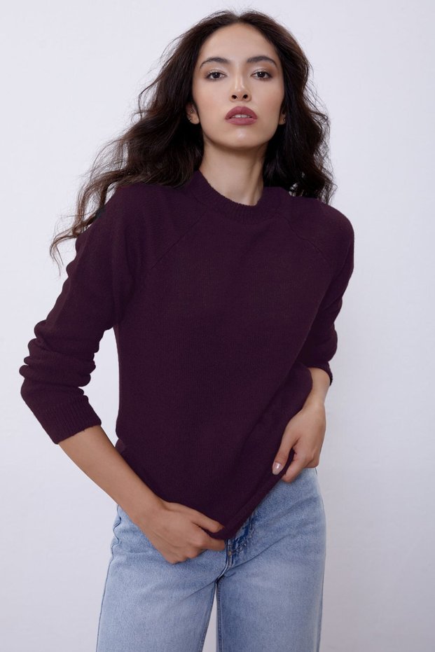 Plum Bicycle Collar Italian Reglan Sweater