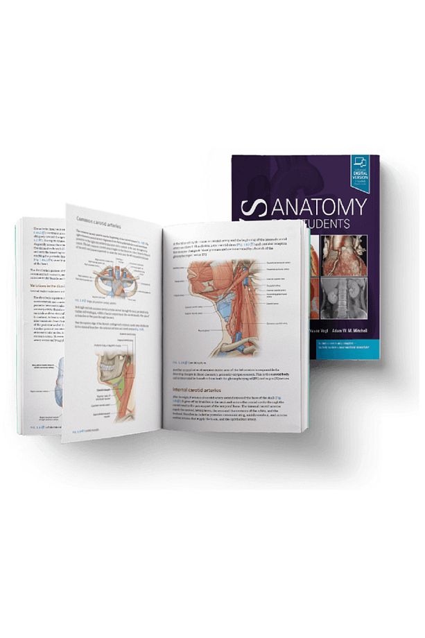 Gray's Anatomy for Students - Richard L. Drake - 2