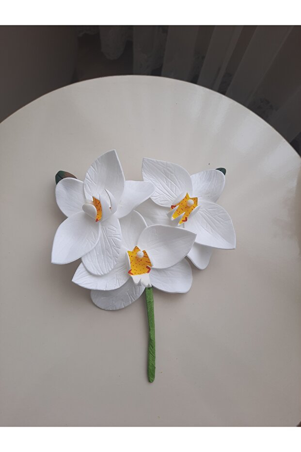 Islak Orkide Dal Eva - 2