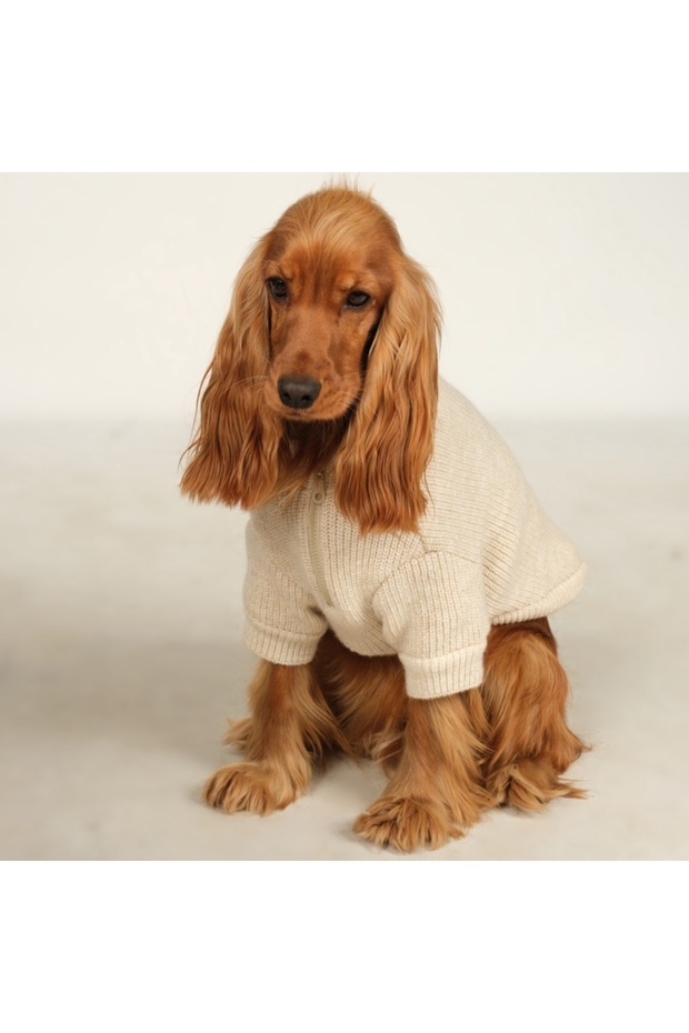 Basic Ekru Triko Köpek Kazak - 3