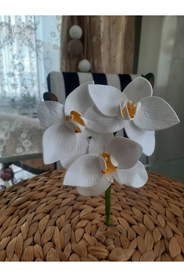 Islak Orkide Dal Eva - 7