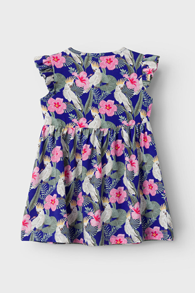 NMFFIONIA SS РОКЛЯ - 3