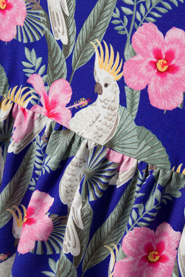 NMFFIONIA SS РОКЛЯ - 2