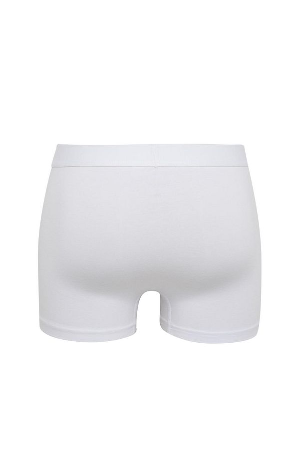 Regular Fit 3'lü Boxer C3274ax24sm - 3