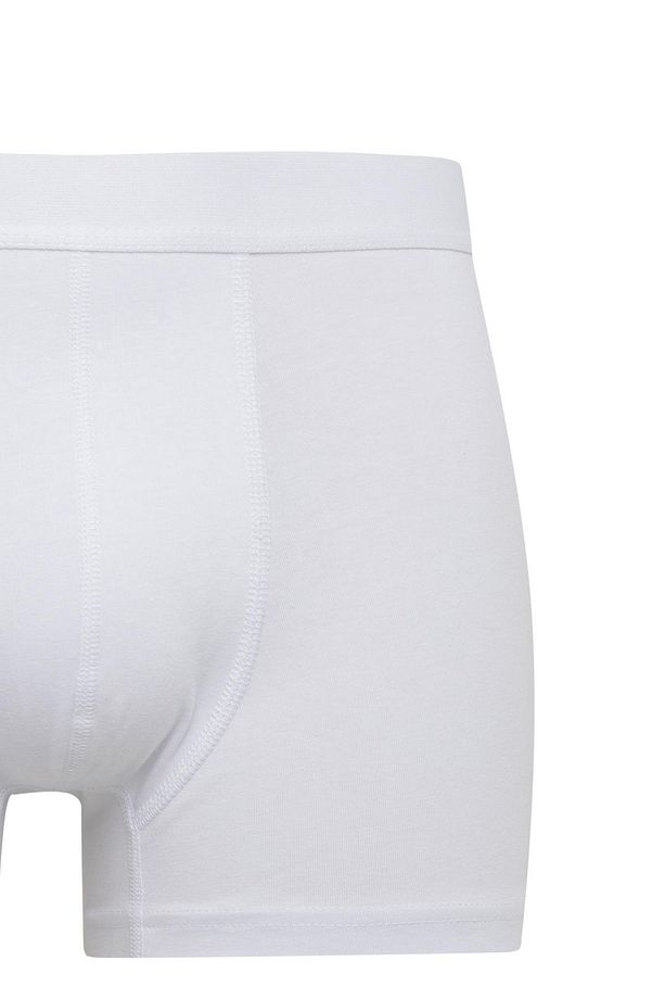 Regular Fit 3'lü Boxer C3274ax24sm - 4