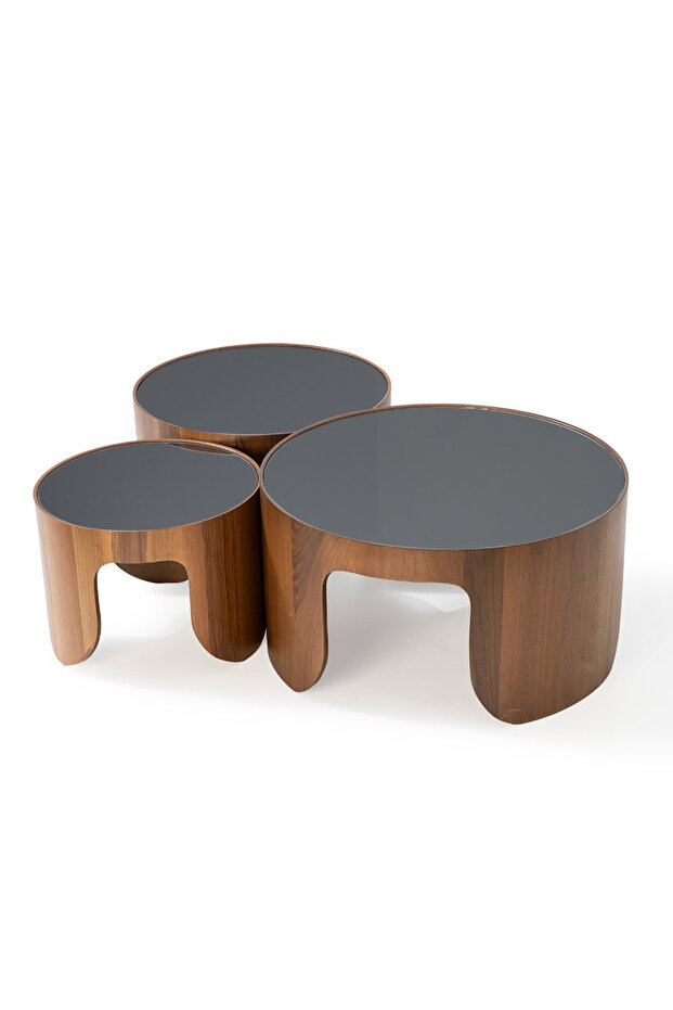 Lotte 3'lü Orta Sehpa Seti - 6