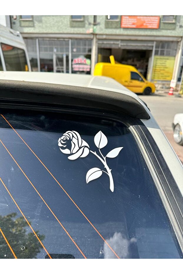 تسمية صورة الوردة البيضاء - 1