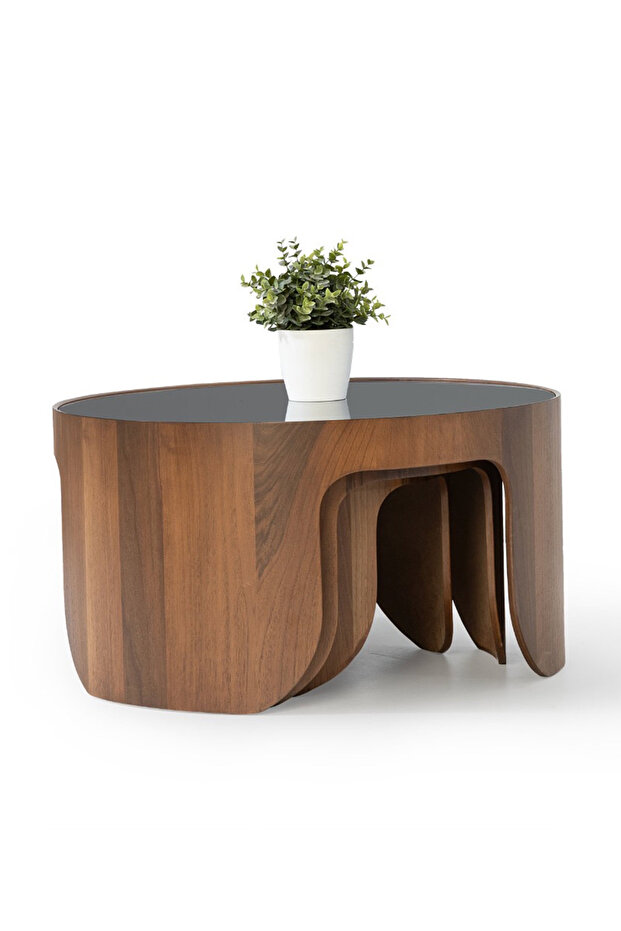 Lotte 3'lü Orta Sehpa Seti - 4