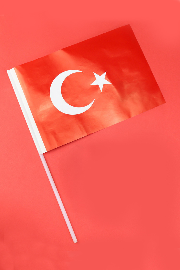 Türk Bayrağı & Balon & Çocuk Dikim Kiti & Ozmo Külah & Şekillerle Su Doku Hediye Seti - 5