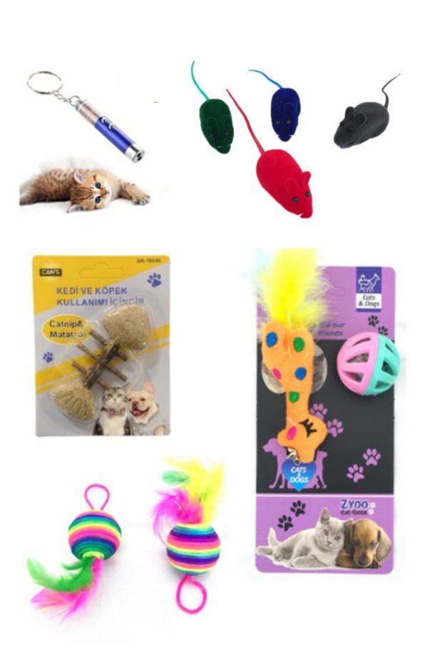 Cat Toy Set 10 Pieces