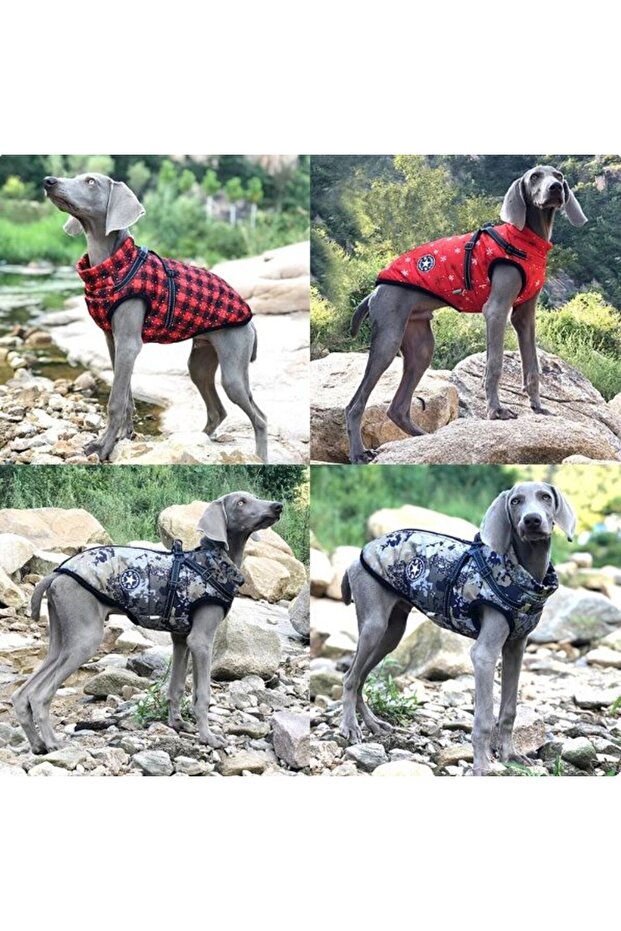 V.pet.b.r Waterproof Warm Dog Coat Outfit