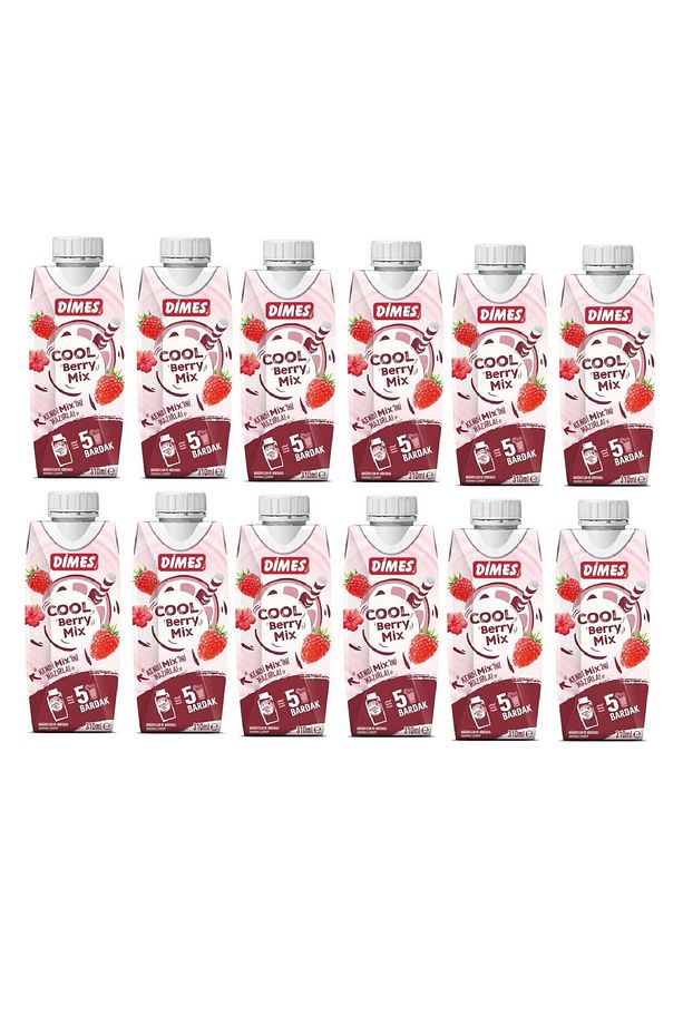 Cool Berry 310 ml x 12 adet. - 1