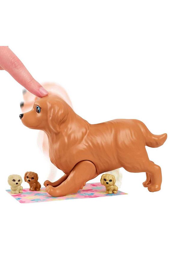ve Hayvan Dostları Oyun Seti, köpek, 3 yavru köpek ve aksesuarlar, 3-7 yaş HCK75 - 5