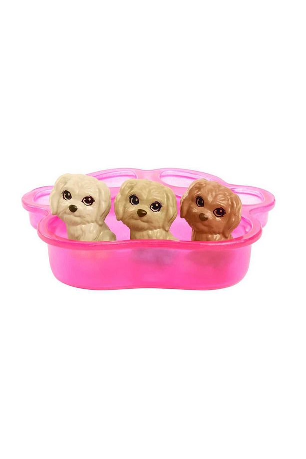 ve Hayvan Dostları Oyun Seti, köpek, 3 yavru köpek ve aksesuarlar, 3-7 yaş HCK75 - 7