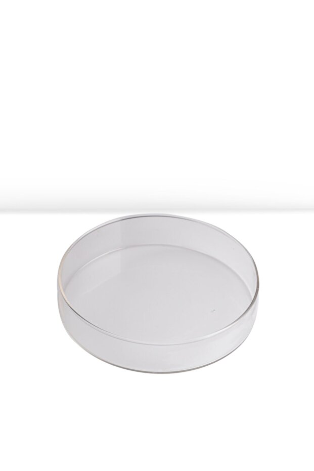 100 Mm Petri Kabı - 1