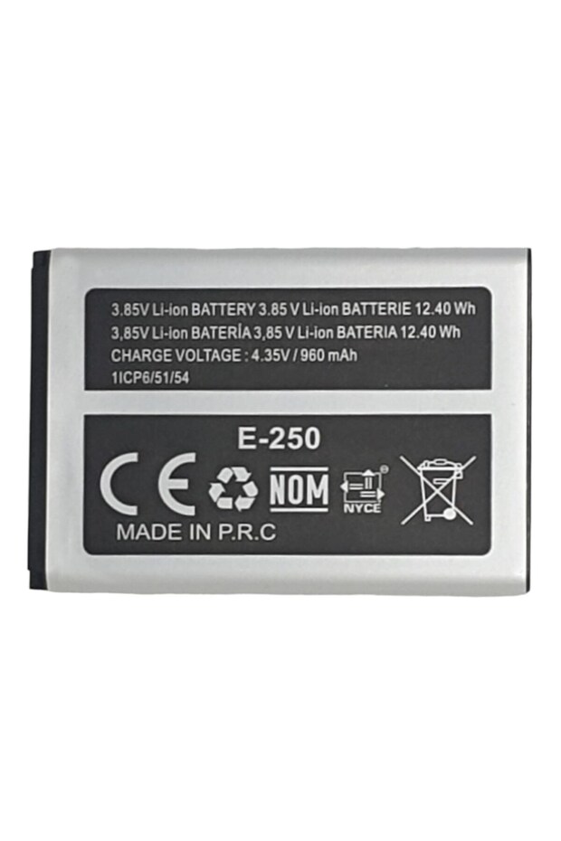 Samsung E 250 Batarya C1018 - 2
