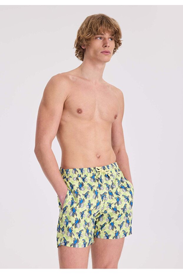 Green Parrot Printed Regular Fit Men's Swim Shorts WMANIMAL