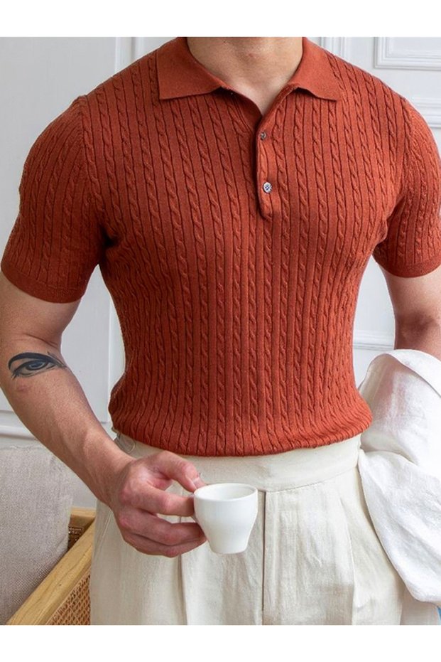 Men's Polo Collar Cotton Hair Braided Slim Fit Short Sleeve Thin Knitwear T-Shirt