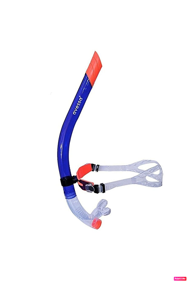 Şnorkel Önden Dalış - 1