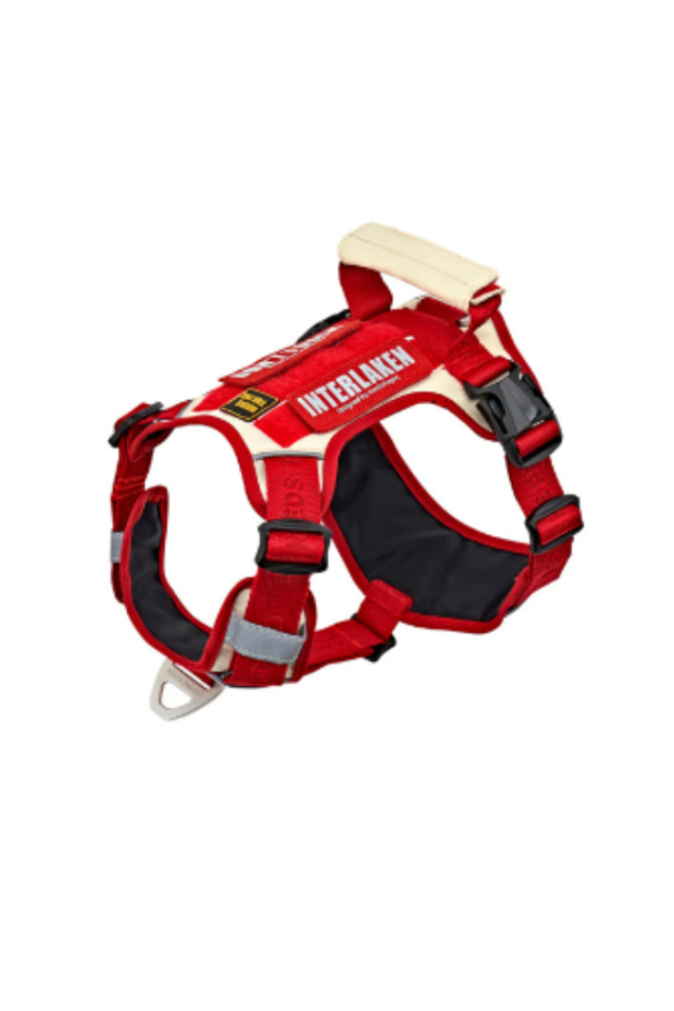 Dog Harness Harness Lightweight Small and Large Dogs Anti-Splay Chest Harness