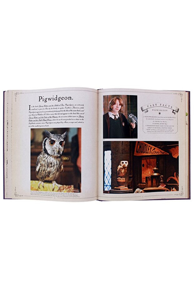 Harry Potter: The Creature Vault - Jody Revenson - 5