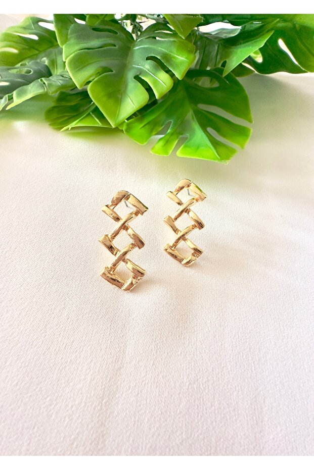 Women's Design Zigzag Earrings