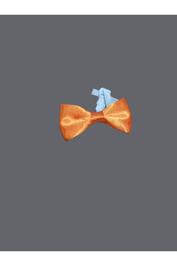 Colorful Children's Bow Tie