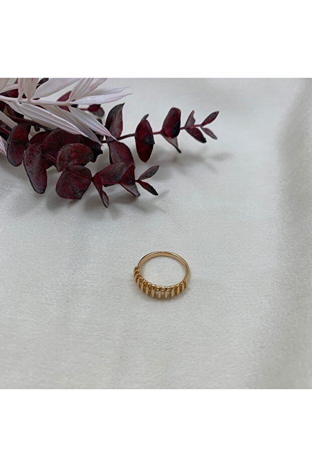 Ring Strip Model - 3