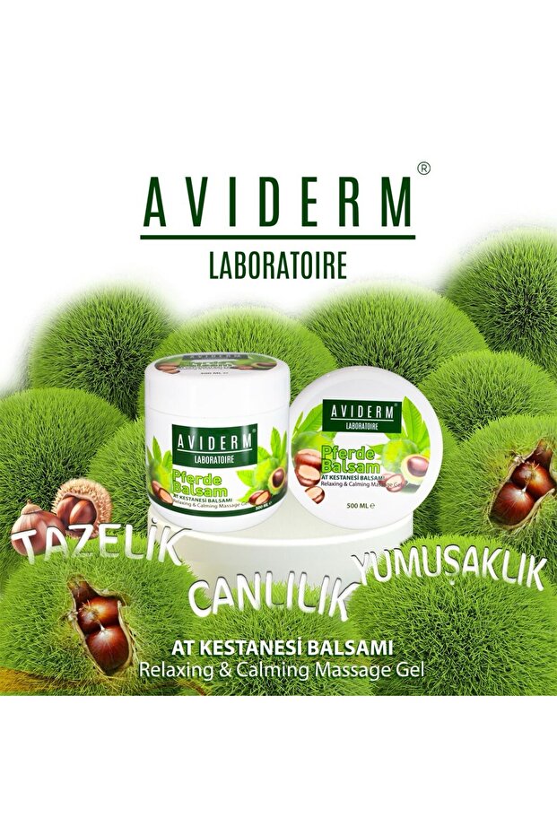 AT KESTANESİ JELİ - 1