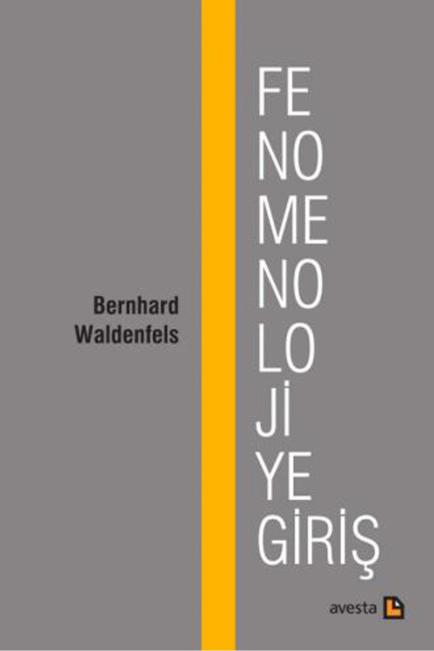 FENOMENOLOJİYE GİRİŞ